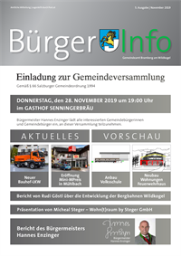 bürgerinfo_gemeindeversammlung_november_2019.pdf